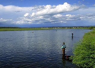 Henry's Fork of the Snake River, flyfishing Idaho