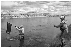 Guide netting big trout